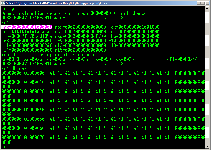 memory at 0x1000000 (RAX value)