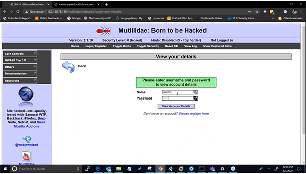 Mutillidae SQL Injection Screen