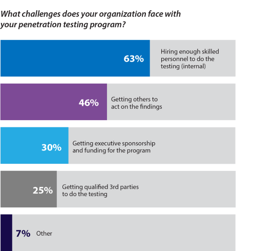 Figure 1: Pen Testing Challenges