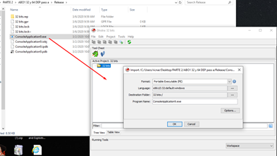 reversing_and_exploiting_with_free_tools_part_10_image_20_drop_executable_into_project