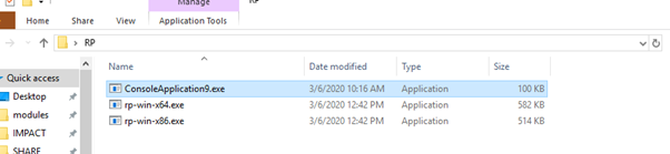 reversing_and_exploiting_with_free_tools_part_10_image_53_rp_console_execution9_exe
