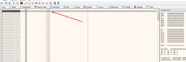 reversing_exploint_free_tools_part_12_image_98_nop
