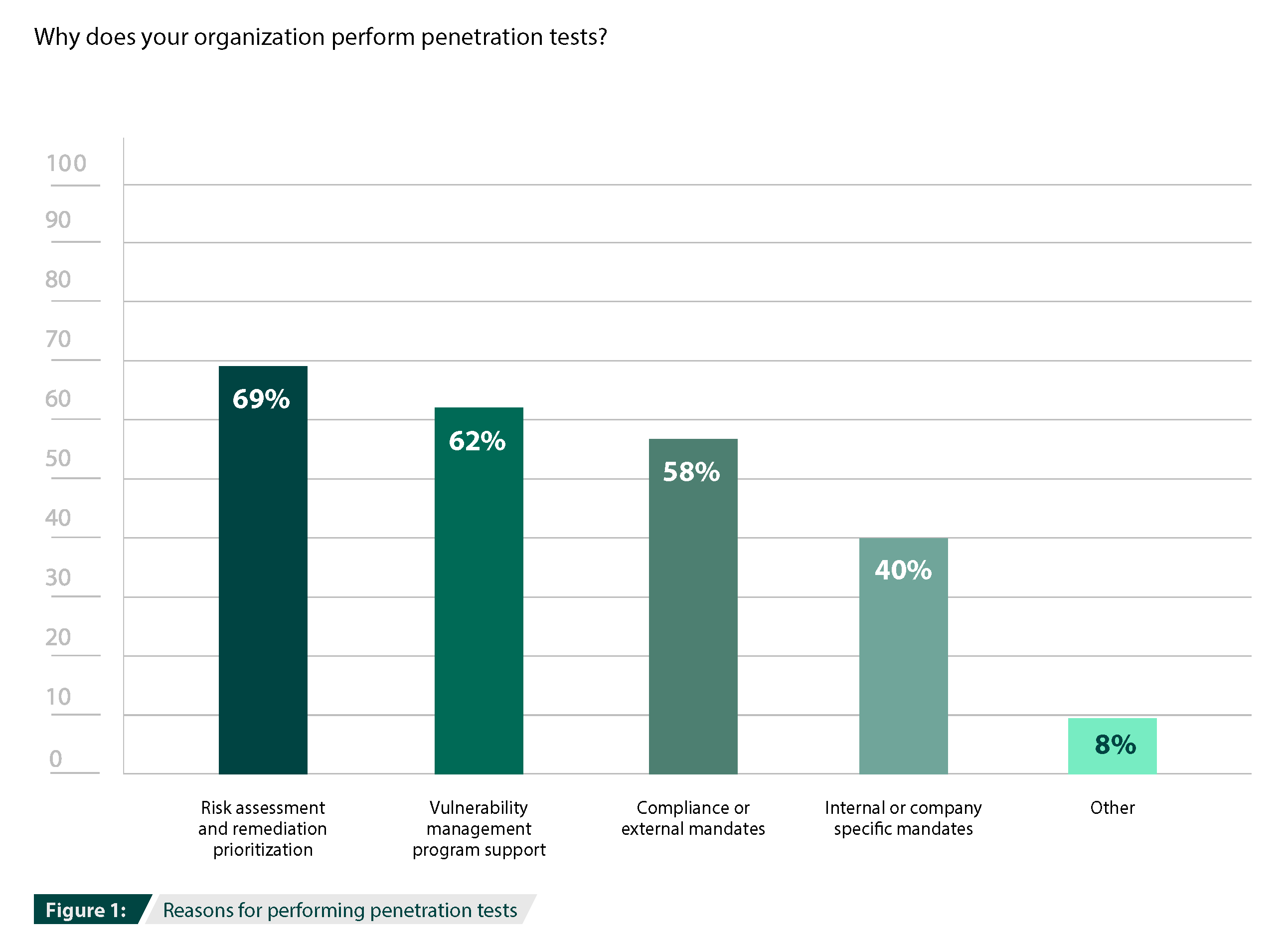 cs-pen-testing-report-fig-1