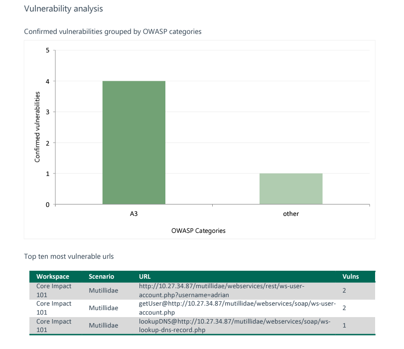 Vulnerability Report