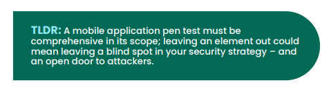 tldr pen testing parameters
