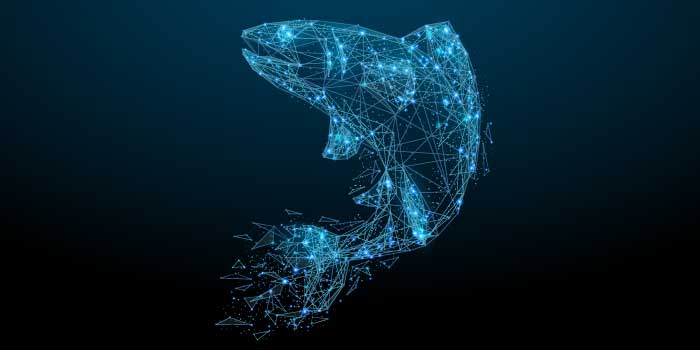 How to prevent phishing attacks How to prevent phishing attacks