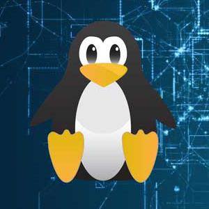 Linux Penguin